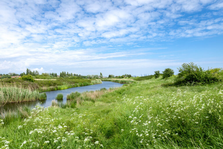 Dovercourt Holiday Park