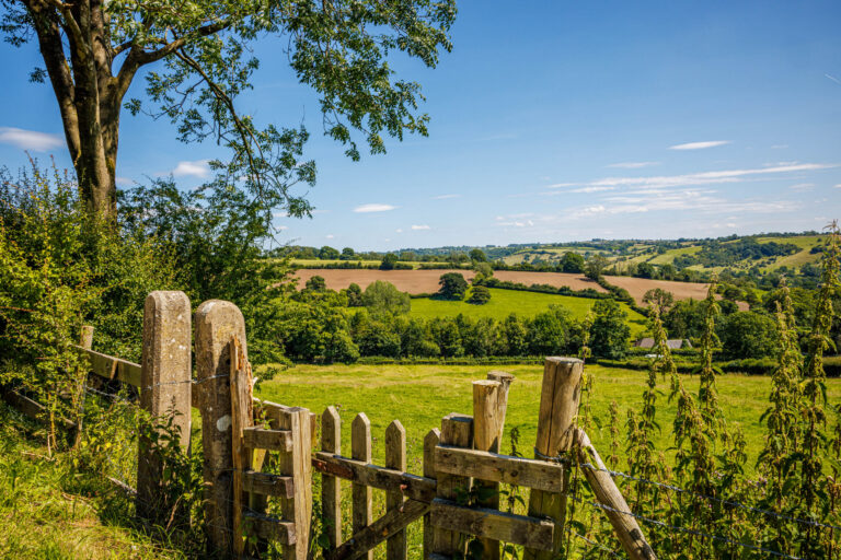 Ashbourne Heights Country & Leisure Park