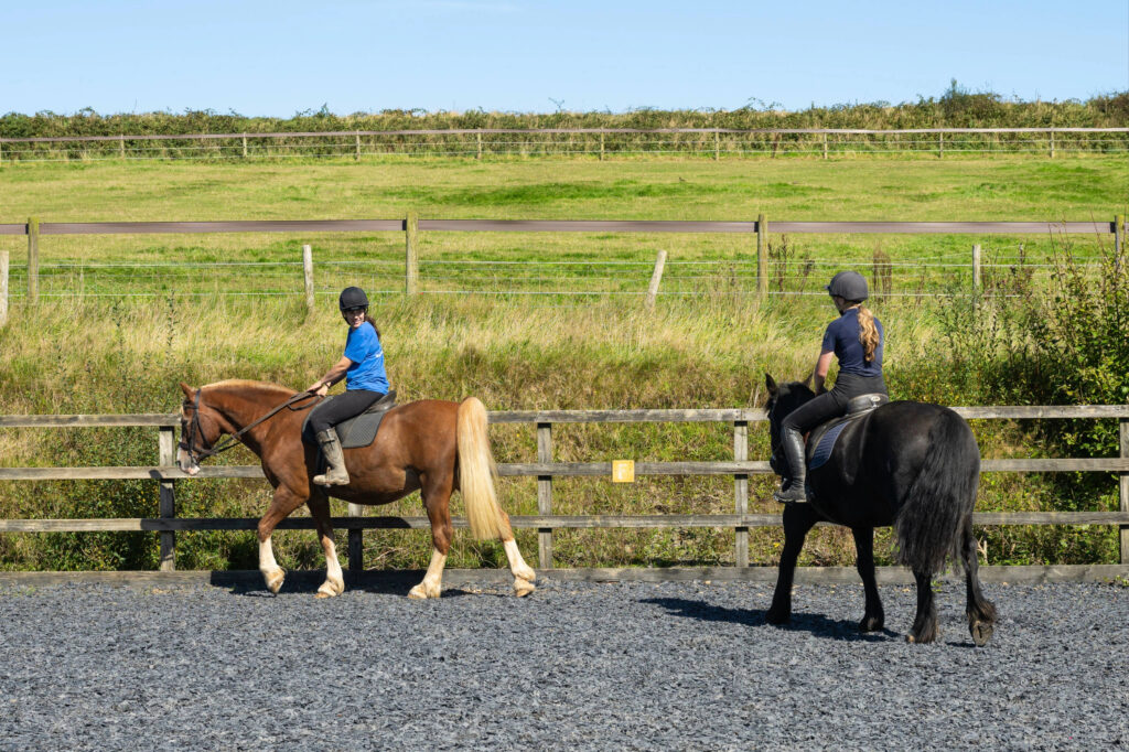 Activities and amenities